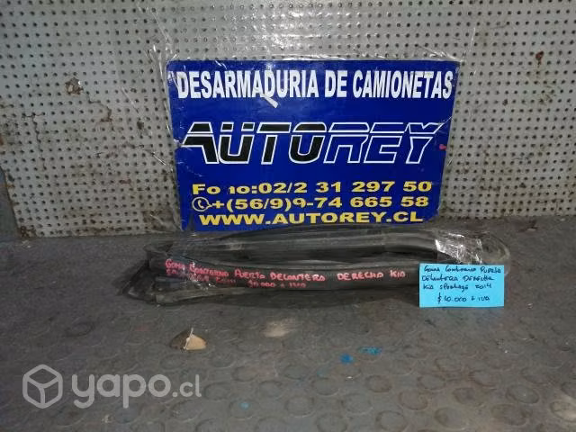 Goma Contorno Puerta Delantera Derecha Kia Sportag