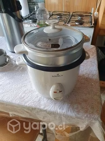 Arrosera nueva electrica
