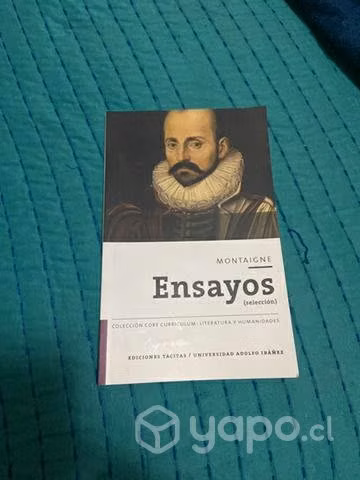 Libro ensayos