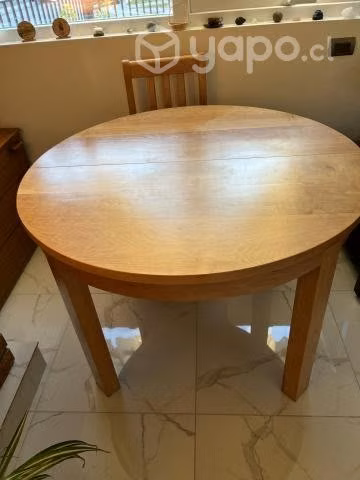 Comedor de lenga - Imagen 3