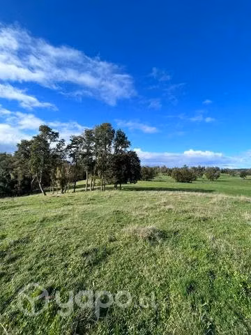 Parcelas 5000mts
