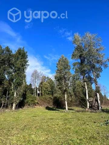 Parcelas 5000mts - Imagen 3