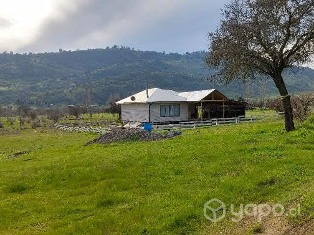 parcela de 1 hectárea