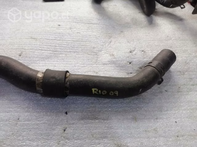 Manguera de agua kia rio 2009