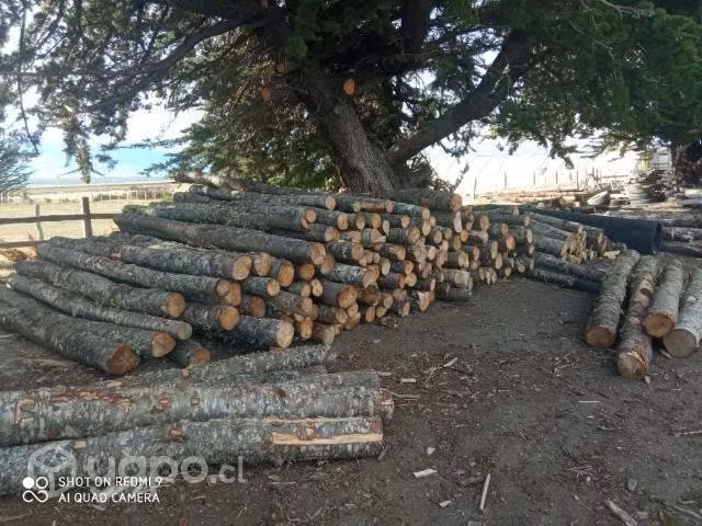 Madera - Imagen 5