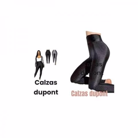 Calza dupont licra
