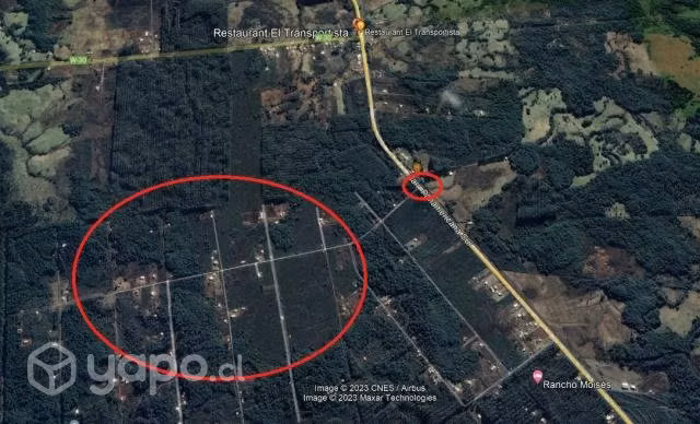 5000 mts2 Sector coipomo