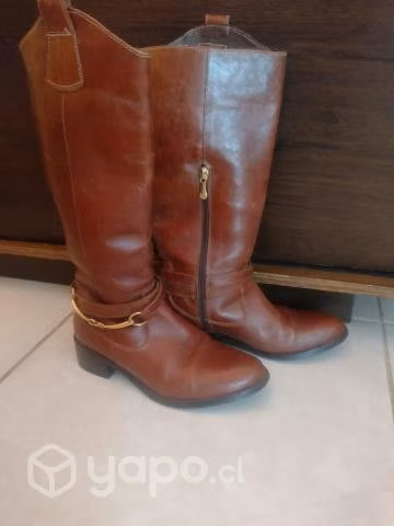 Botas polini