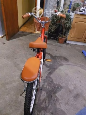 Bicicleta niña