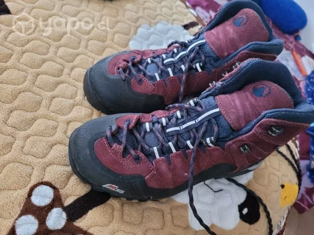 Zapatos lippi