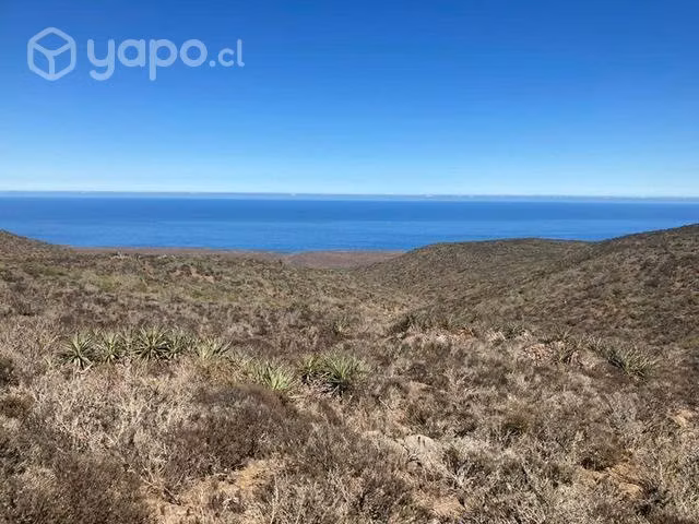 Terreno Talinay 5000 m2 Rol único
