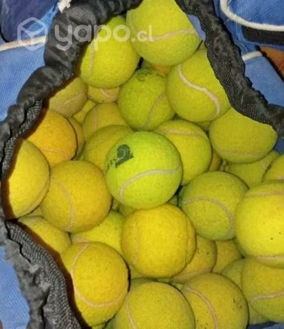 Pelotas de tenis