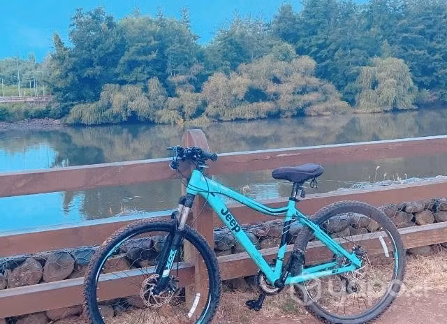 Bicicleta jeep