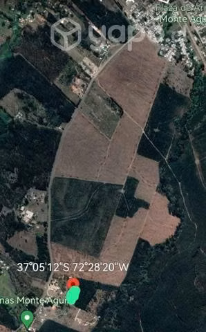 Campo agrícola
