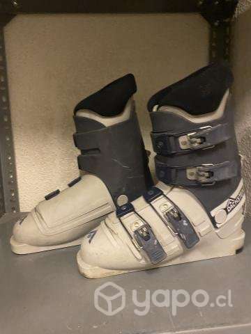 Bota Ski Dachstein