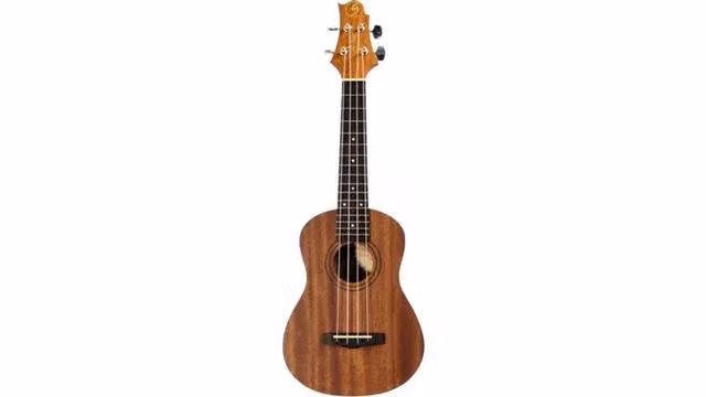 Ukelele Acústico Greg Bennett + funda
