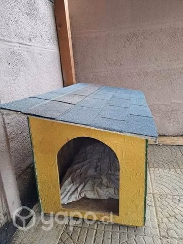 Casa mascota raza grande