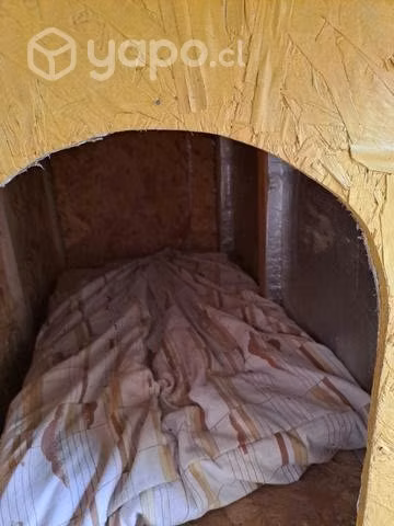 Casa mascota raza grande