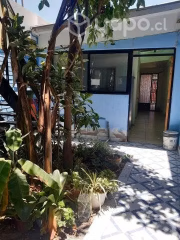 Pieza amoblada arica