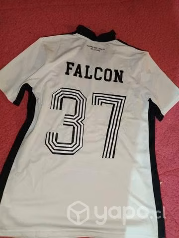 Polera del colo