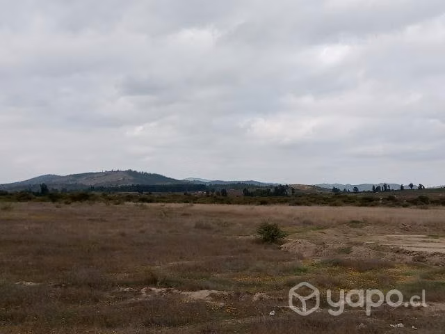 Parcelas Santa Cruz Proyecto "TERRA VIÑA 2"