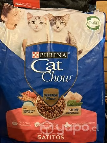 Alimento para gatitos cachorro