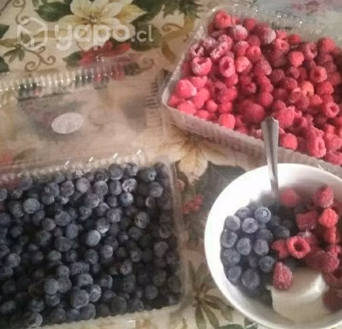 OFERTA Frambuesas y Arándanos Ricos del Sur