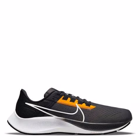 Nike zoom pegasus 38