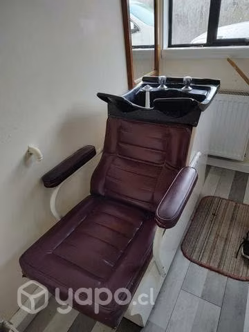 Artículos de peluquería