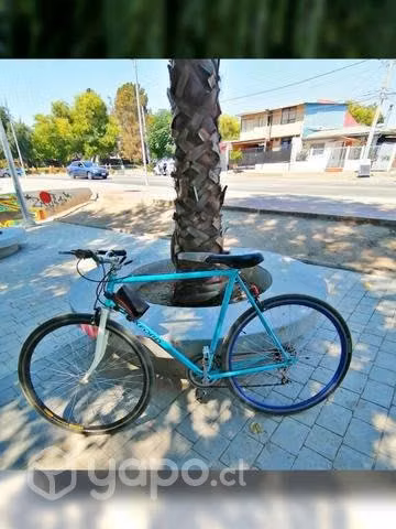 Bicicleta Oxford pistera
