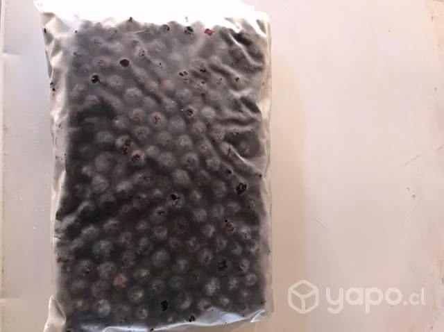 Arándanos congelados