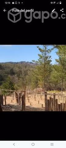Sitio o permuta - Imagen 3