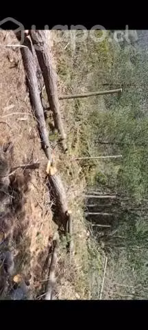 Sitio o permuta - Imagen 6