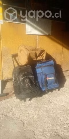 Bolsos y bolso maleta