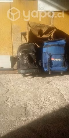 Bolsos y bolso maleta