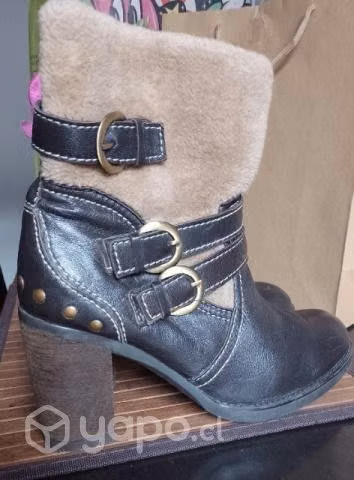 Botines Pollini 39