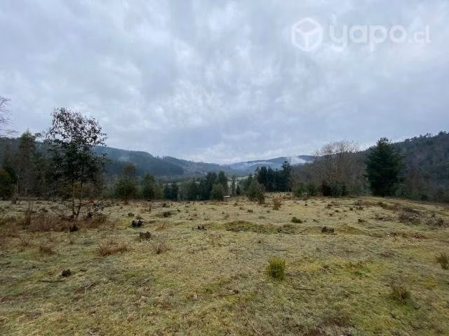 Hermoso campo chileno en loncoche