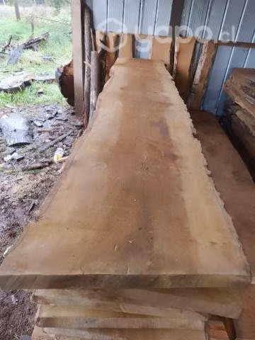 Cubiertas de laurel