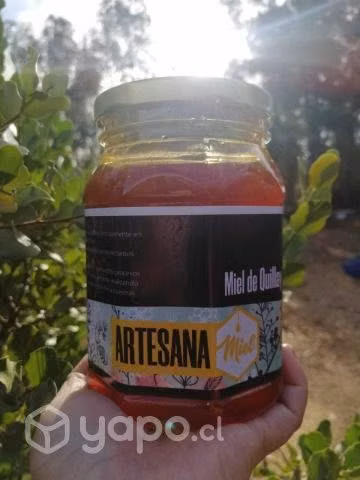 Miel de abejas