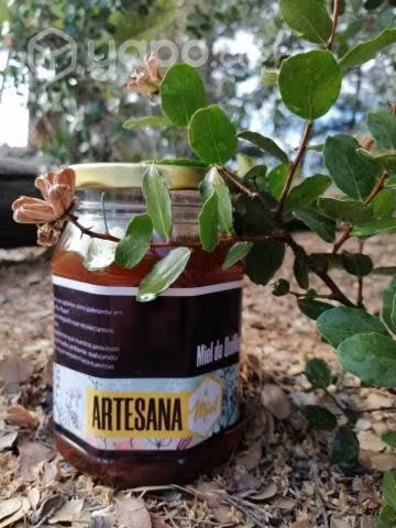 Miel de abejas