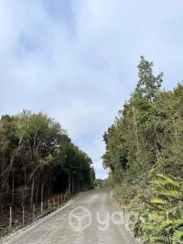 Parcela sector de Huelmo Alto
