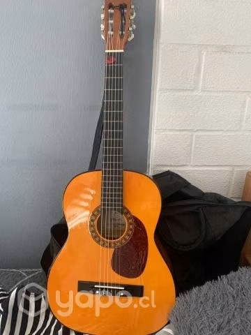 Guitarra Acústica Kapok