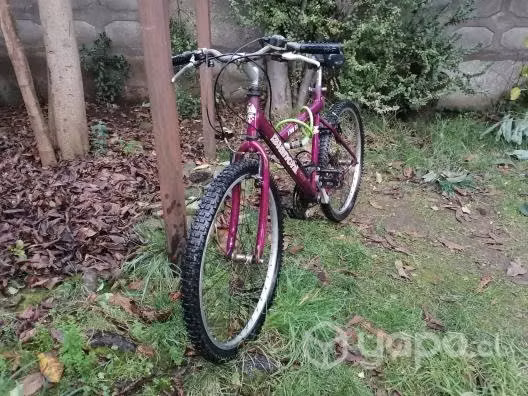 Bicicleta Mountanbike BIANCHI 1760 S1
