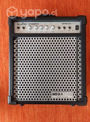 Bajo LTD + Amplificador