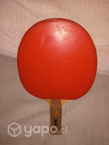 Raquet tenis de mesa para entrenamiento