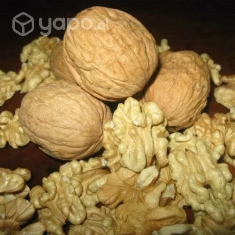 Nueces Chandler