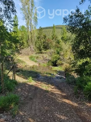 Hermosa Parcela Rincón de Los Muñoces
