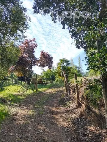 Hermosa Parcela Rincón de Los Muñoces