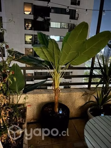 Banano artificial con macetero - Imagen 2