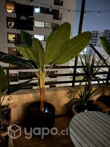 Banano artificial con macetero